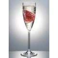 170mL Champagne Flute
